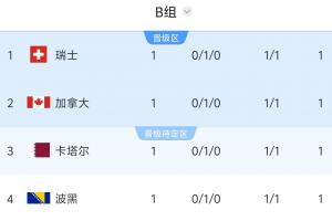 两场比赛均以1-1结束!B组积分榜:瑞士、加拿大、卡塔尔、波黑均积1分